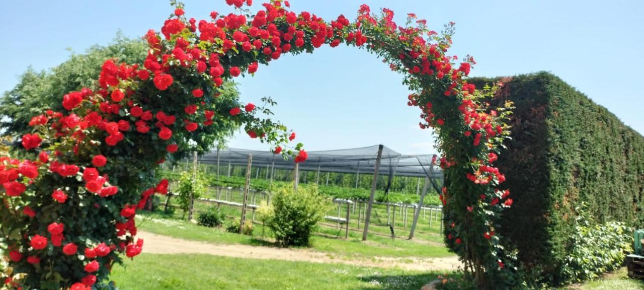 Agriturismo Fondo Novelle La Casina フェラーラ エクステリア 写真