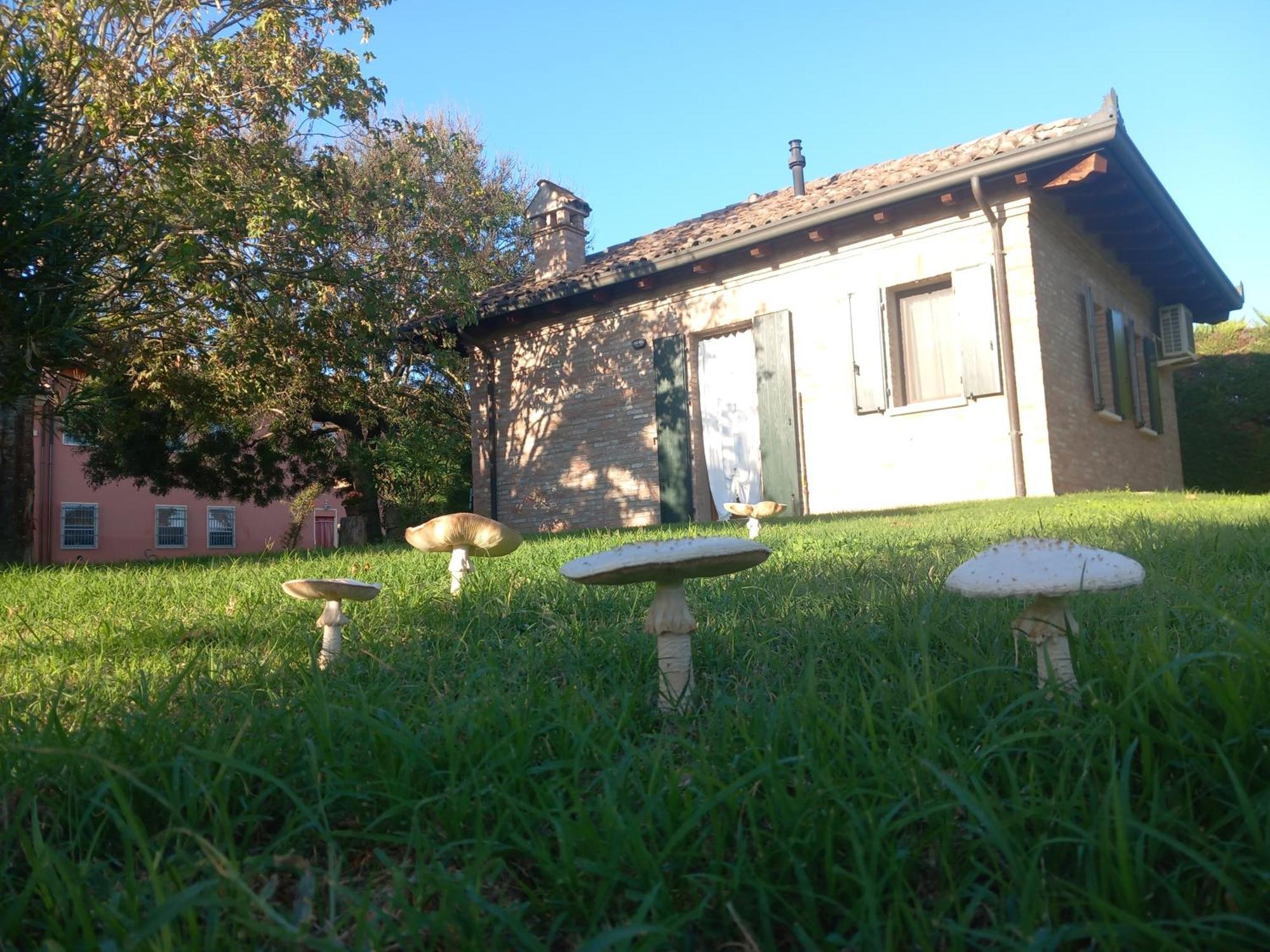 Agriturismo Fondo Novelle La Casina フェラーラ エクステリア 写真
