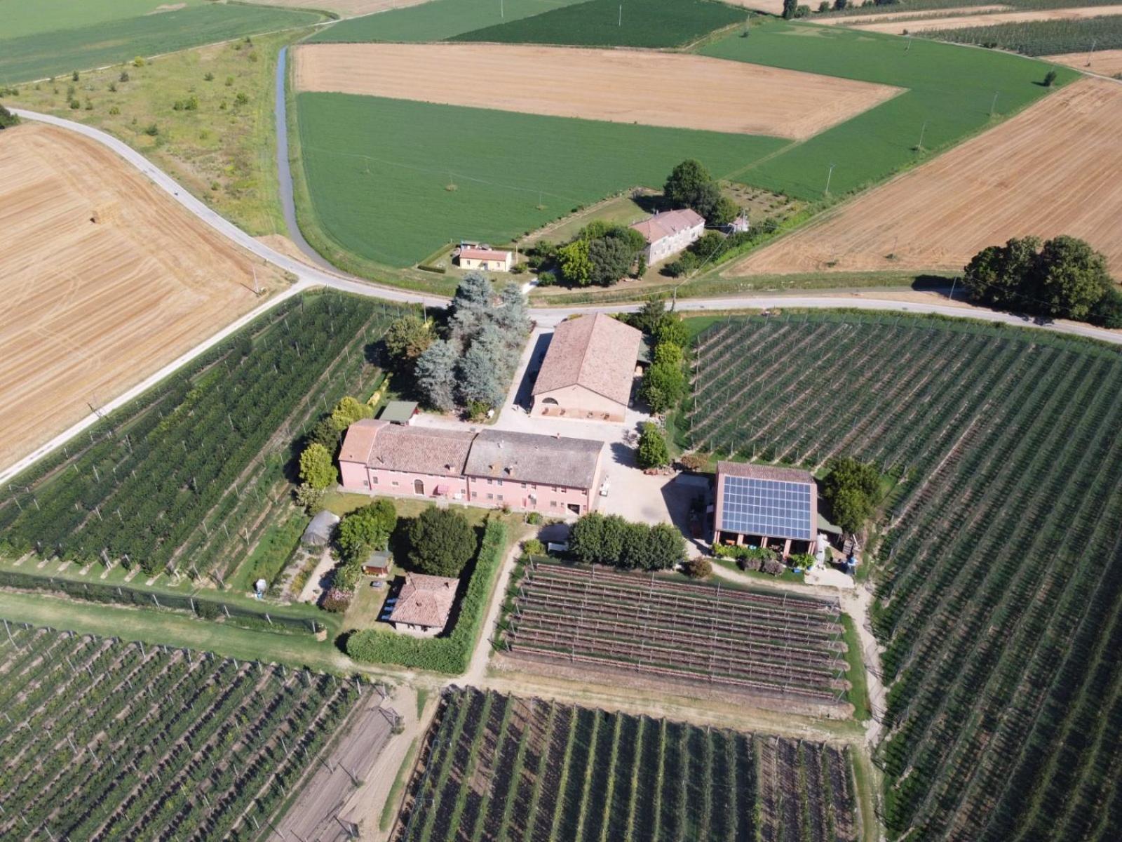 Agriturismo Fondo Novelle La Casina フェラーラ エクステリア 写真